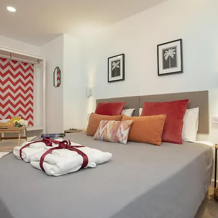-malagasunapts-el Palo Dream &